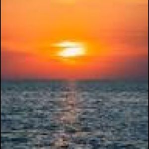 Meet your Posher, Ani